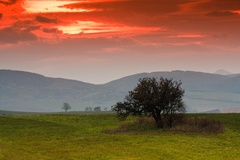 Večerná