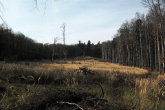 Jeseň