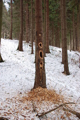 usilovná práca