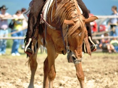 ....to je nudaaa....