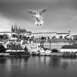 Praha...