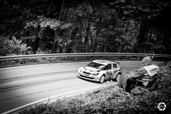 rally