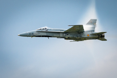 F-18 Hornet
