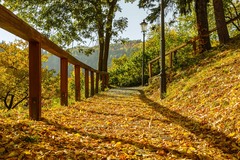 jeseň pod Starým zámkom