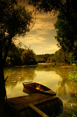 pri dunaji