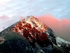 Solisko