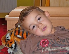 Môj tiger