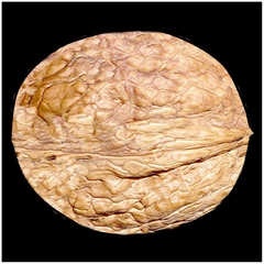 Relief