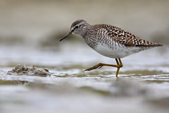 potichúúúúčky...