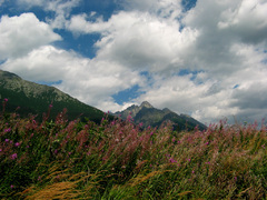 Lomnický štít