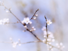 studena jak v zimě okenice