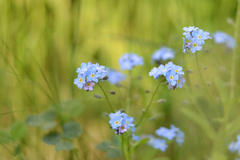 být je jednoduché...