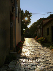 slniečková