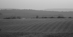 horizont