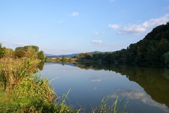Bodovský rybník