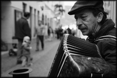 harmonikar