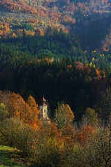 V lone prírody
