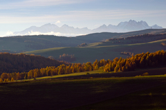 V Levočských vrchoch