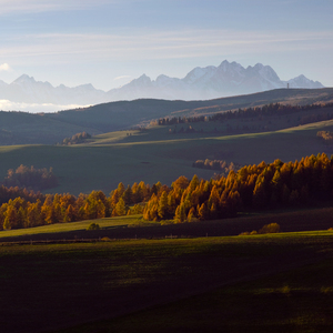 V Levočských vrchoch