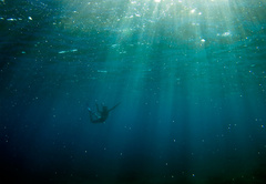 V ríši morských panien