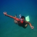 Stupid Diver