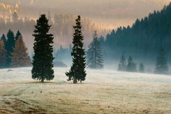 Farby jesenného rána