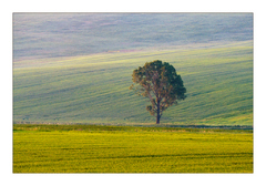 Sám v rannom svetle...