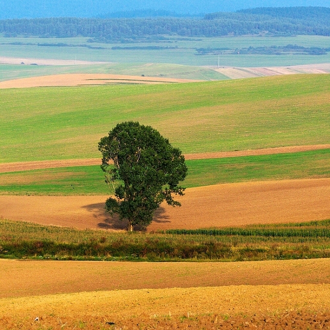 Osamelý II