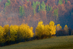 Jesenná