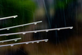 Farebný dážď