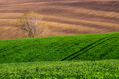 Ponorený vo vlnách