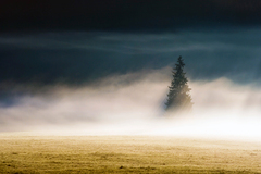 Kde bolo, tam bolo...