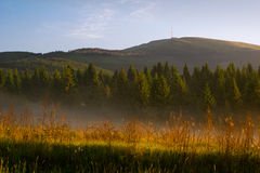 Pod Kráľovou hoľou
