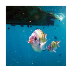 Neboj sa drahá, to je len človek