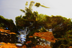 Nič nie je také, ako sa zdá