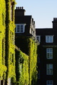 Regent´s College