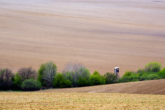 Poľovník vs roľník