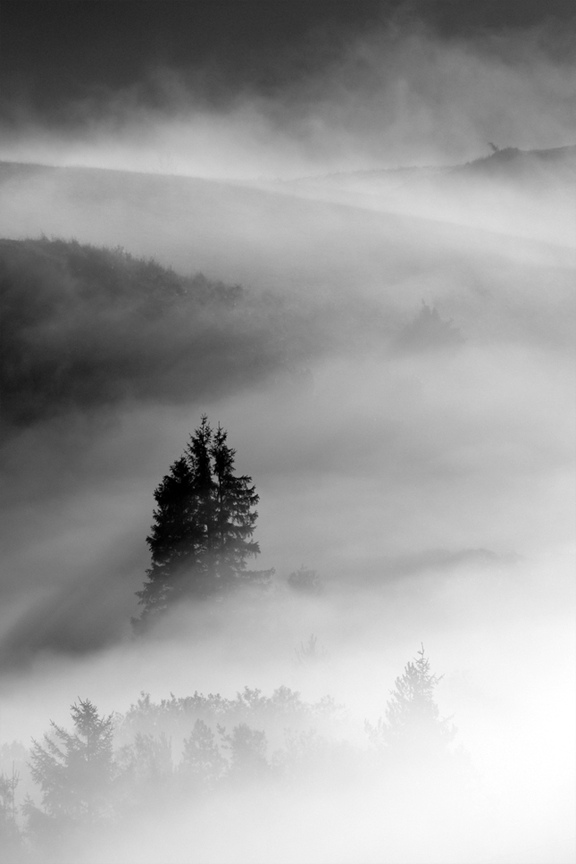 Solitaire