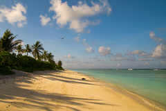 Prelet nad opustenou plážou