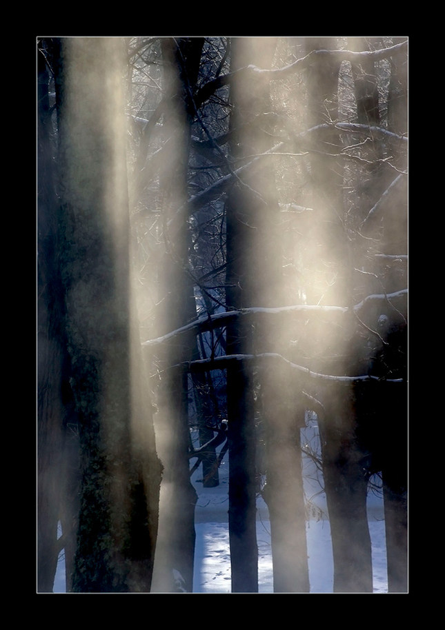 Duchovia lesa