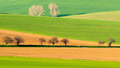 Jarná geometria