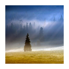 Sám vo farebnej krajine