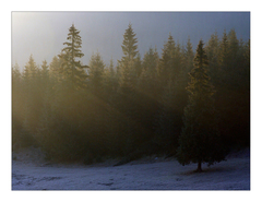 Light