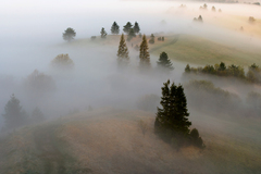 Prebúdzanie