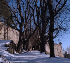 zimna cesta na hrad