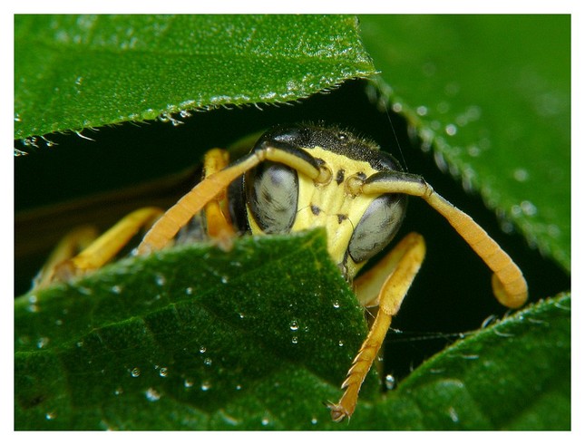 nerusit,odpocivam....