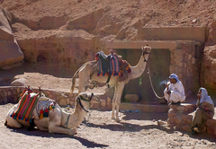 Camel Station (Pohoda, klídek a 