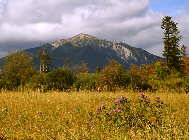 Jeseň pod Belianskými Tatrami