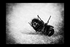 death...