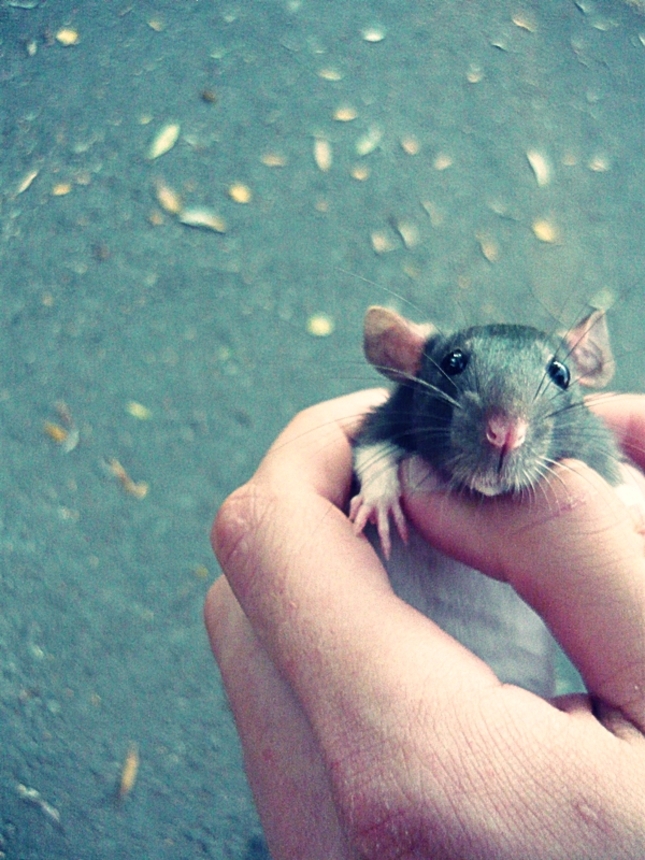 moje malé potkančiatko